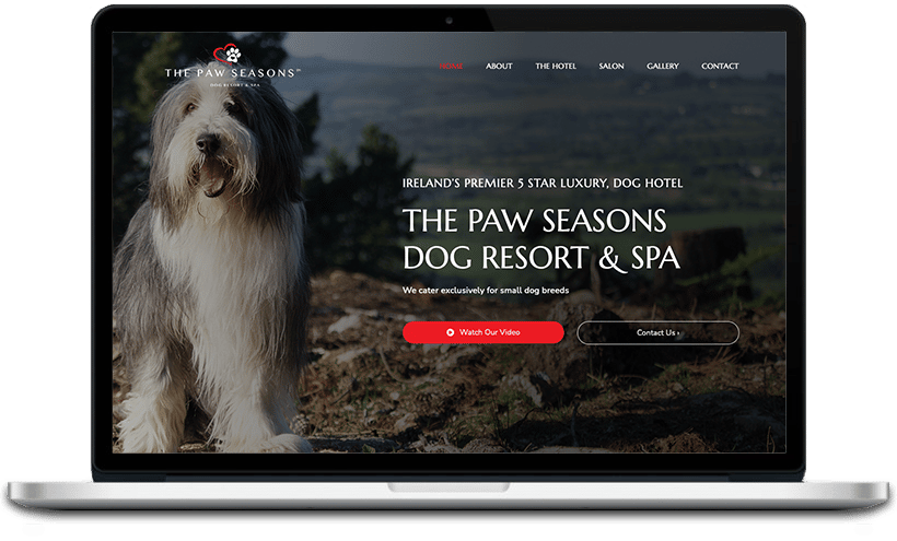 The Paw Seasons is a 5-star luxury dog hotel in Ireland that caters exclusively for small dog breeds.